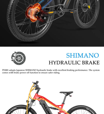 PULUMA Smart Electric Bike 48V 1000W  {Panasonic battery 48V 20AH} with pedal assist hydraulic disc brakes