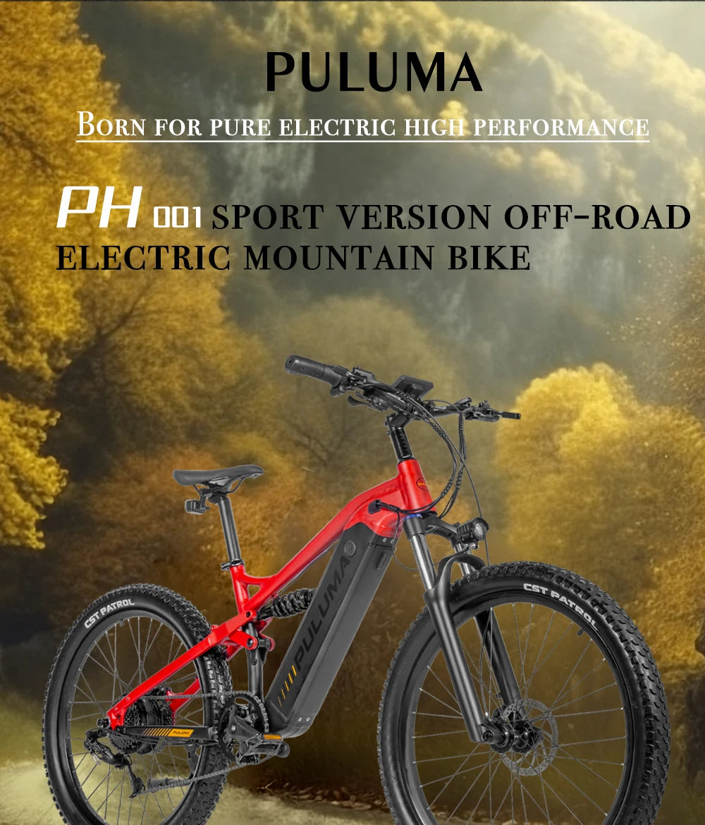 PULUMA Smart Electric Bike 48V 1000W  {Panasonic battery 48V 20AH} with pedal assist hydraulic disc brakes