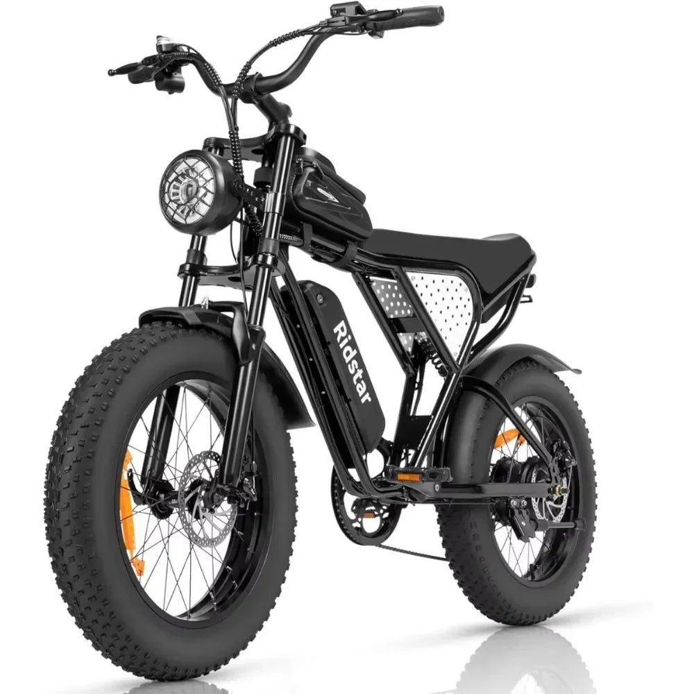 Ridstar Q20 Lite Electric Bike (1000W, 48V, 15Ah)