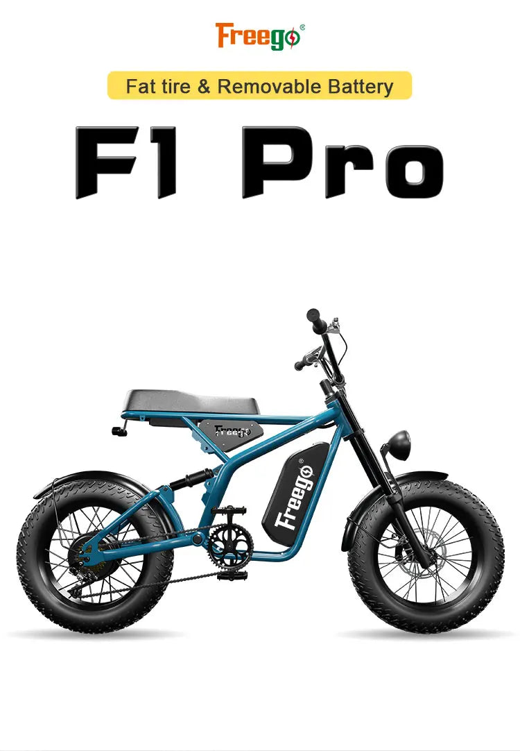 2025 Brand FreeGo Bike New Fat Tire Electric Bike