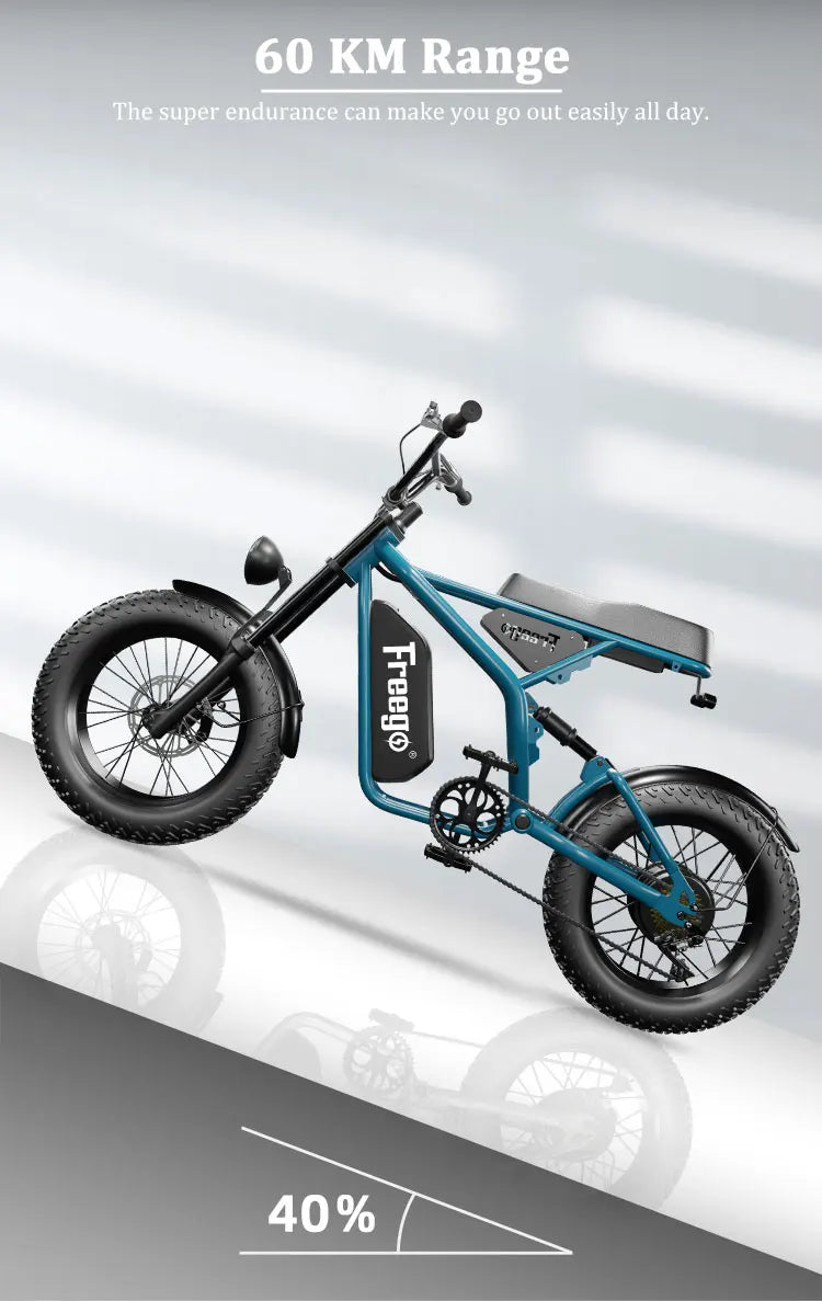 2025 Brand FreeGo Bike New Fat Tire Electric Bike